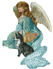 Cat angels