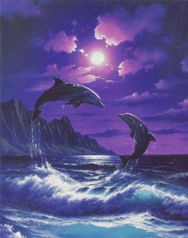 Lanaispinner_dolphin