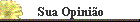 Sua Opini�o