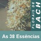 As 38 ess�ncias