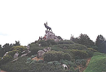 The Woodland Caribou