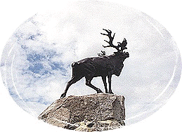 Caribou