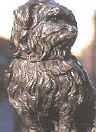 Greyfriars Bobby