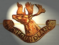 Newfoundland badge