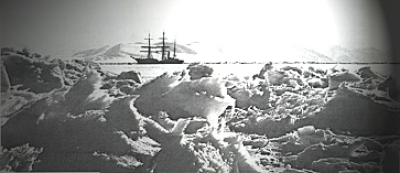 The Terra Nova