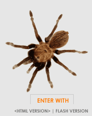 Spin the Web........