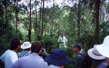 Green Point meetings
