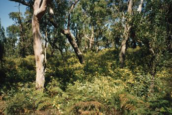 Green Point Reserve