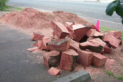 Chunks of the Wallsend Ancients, full of meaty goodness!