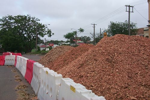 From Senior Citizen to Wood Chips in 24 hours.
