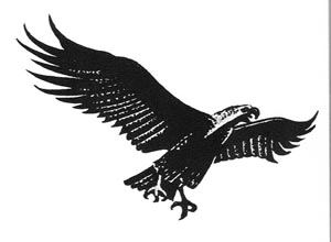 Eagle2.jpg (10592 bytes)