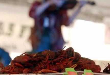 Mudbugs