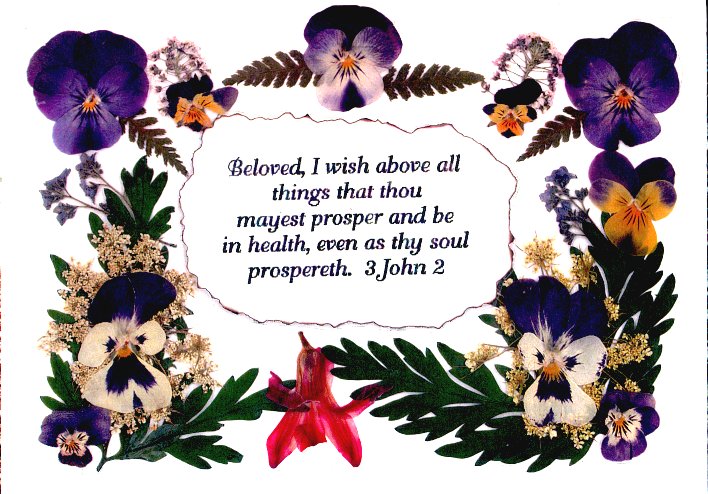 Click to view the FlowerCraft! cards page