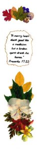 Proverbs 17:22