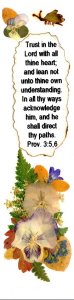 Proverbs 3:5-6