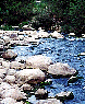 basento.gif (7726 byte)