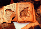 livre.gif (13920 byte)