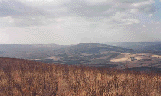 sant.gif (12967 byte)