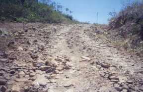 Camino hacia Ca&ntilde;averal