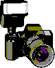The online photo album.  CLICK HERE!