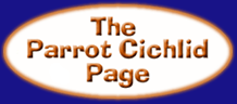 Click to enter