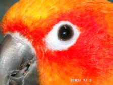 Now have a closer look