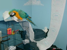 This is me, caught in the act. I thought Mom was busy.