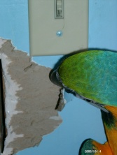 Here I am destructing things as usual