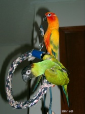 We play together too.