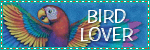 Click to go to home page