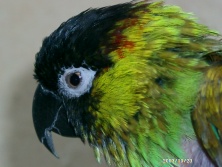 Me after my bath I get pouty