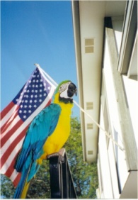 This is me Oct. 11, 2002 one month after the 911 tragedy