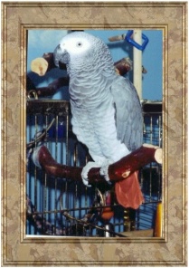 Pretty Pretty Bird, Don't you agree?