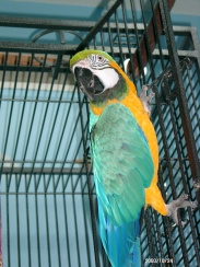 Hangin out