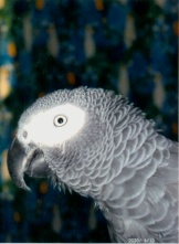 From my modeling portfolio