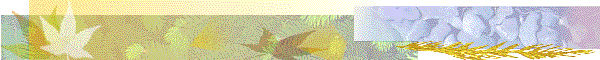 blankbanner.gif (15806 bytes)