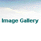 Image Gallery
