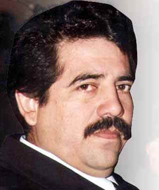 merino.bmp (359910 bytes)