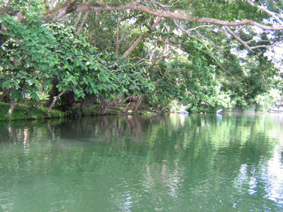 A Row in the River
