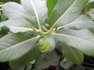 What's this?