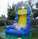  Dolphin water slide