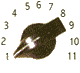 chickenknob pic