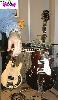 Gretsch Tennessean 62