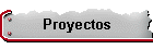 Proyectos