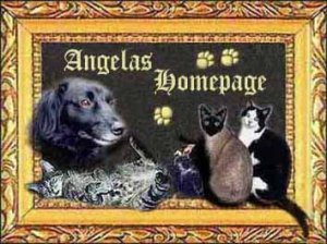 Angela's Homepage