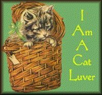 cat luver 