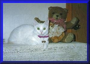chloe3.jpg (13834 bytes)