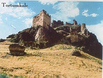 TORTUM_KALE