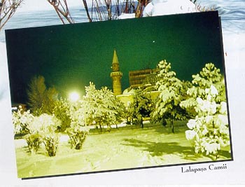 lalapasa1