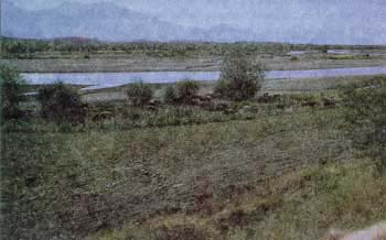 muceldi